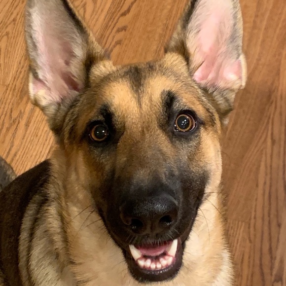 Meet your Posher, Jm - Picture 1 of 3